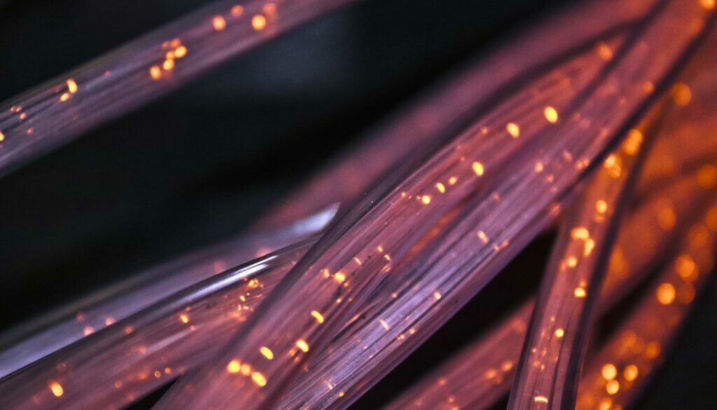 fiber-4814456_1920 (1)